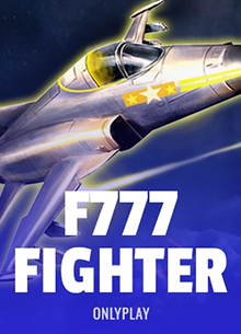 fighter