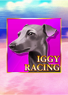 iggyracing