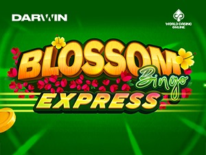 BLOSBINGOEXP