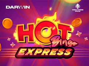 HOTEVOBINGOEXP