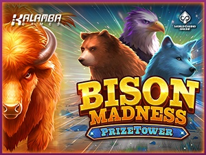bisonmadness-pt