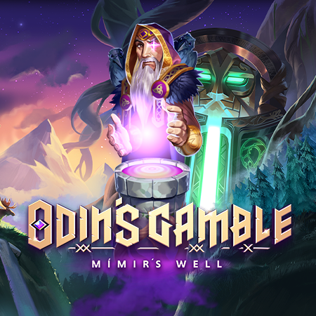 tdk_odins_gamble_mmirs_well