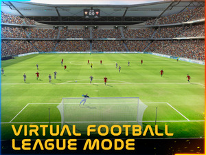 vflm