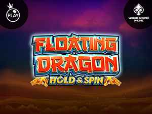 vs10floatdrg