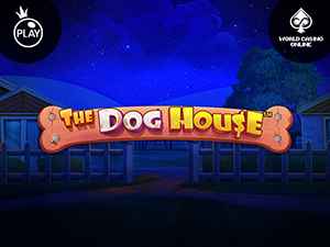 vs20doghouse