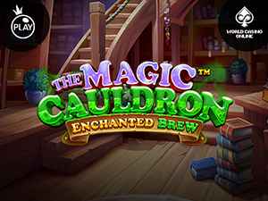 vs20magicpot