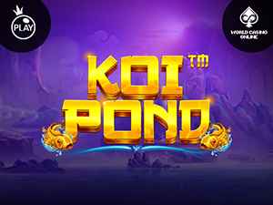 vs243koipond