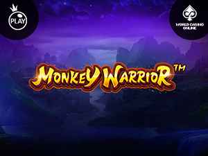 vs243mwarrior