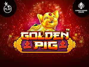 vs25goldpig
