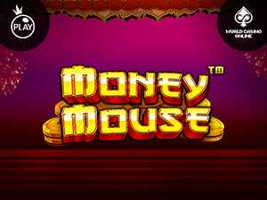 vs25mmouse