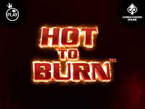 vs40hotburnx