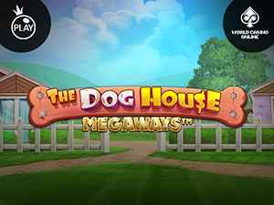 vswaysdogs