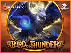 HAB-birdofthunder