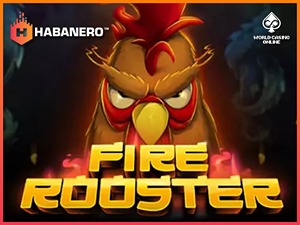 HAB-firerooster