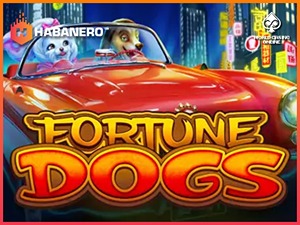 HAB-fortunedogs