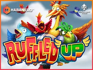 HAB-ruffledup