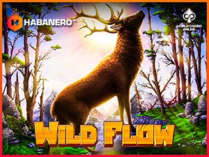 HAB-wildflow