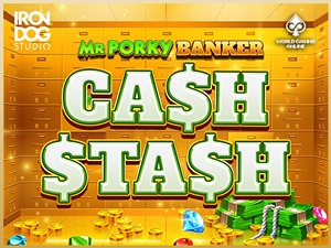 IDS-mrporkybankercashstash