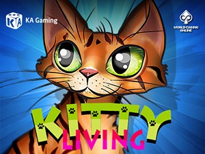 KAG-kittyliving