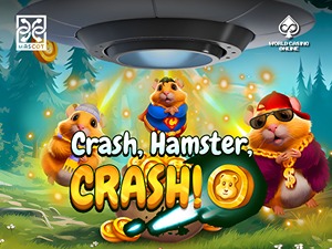 MSG-crashhamstercrash