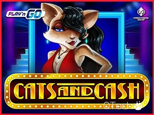 PNG-catsandcash
