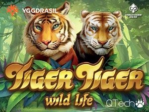 YGG-tigertiger