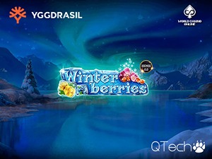 YGG-winterberries