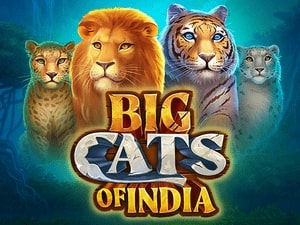 ts-tg-indiancats